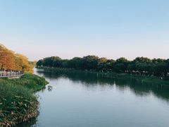 -海珠湖公园