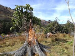 -硗碛藏寨·神木垒景区