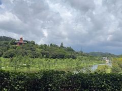 -东莞植物园