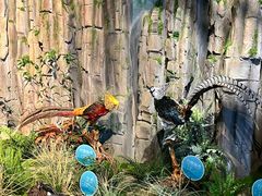 -湖南省地质博物馆