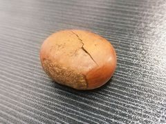 -高记福桂桂花糖炒栗(鼓楼店)