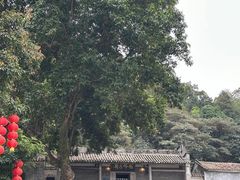 -广州市帽峰山景区