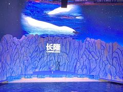 -珠海长隆海洋王国