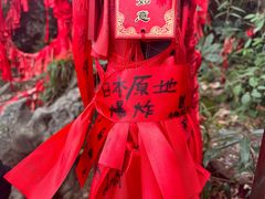 -张家界天门山国家森林公园