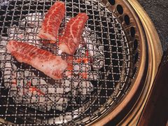-300杯·和牛烧肉清酒专门店(廊里店)