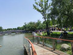 -祥源·阜阳生态乐园