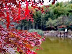 -穹窿山景区