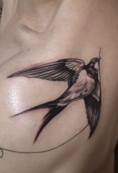 -雕哥的纹身店A3 TATTOO&纹身培训