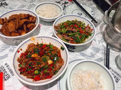 香菜炒牛肉-壹盏灯(蚂蚁工房店)