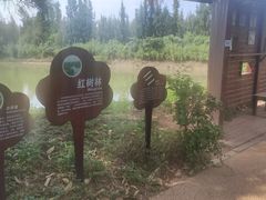-五缘湾湿地公园