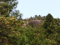 -玉苍山国家森林公园