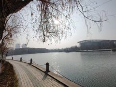 -宿迁学院
