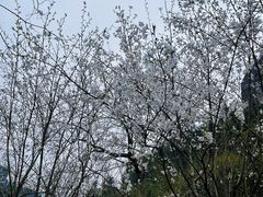-十九峰景区