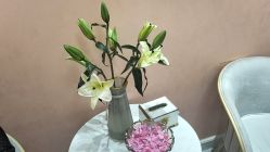 -头道汤·茜曼缇娜