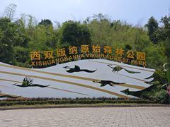 -西双版纳原始森林公园