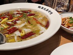 -太二酸菜鱼(汕头苏宁广场店)