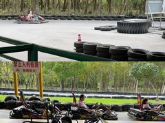 -上海海湾国家森林公园