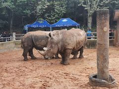 -昆明动物园