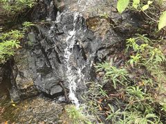 -呀诺达热带雨林