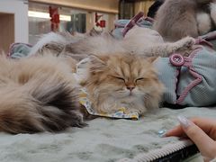 -万达广场(大明宫店)