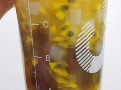 鲜百香双响炮-CoCo都可(北京西站北广场店)