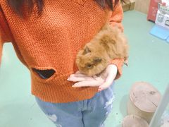 -藦茜花园宠物主题亲子互动体验馆(国顺东路店)