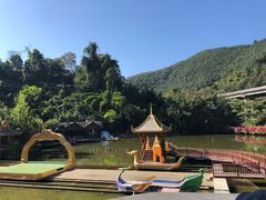 -西双版纳原始森林公园