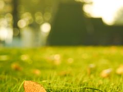 -重庆市江北嘴中央商务区中央公园