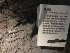 -上海长江河口科技馆