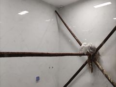 -海合安武汉极地海洋公园
