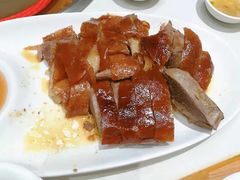 -广顺鑫猪肚鸡(经八路店)