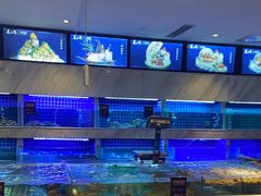 水产区-夜上海(上元大街店)