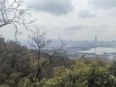 -紫金山天文台