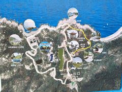 -广东惠东海龟国家级自然保护区