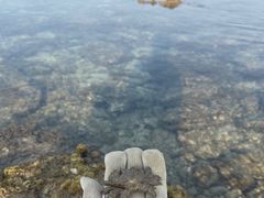 -三亚西岛海洋文化旅游区