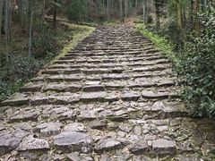 -仙霞关景区
