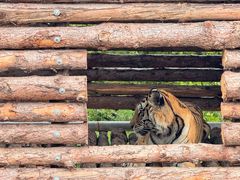 -西霞口神雕山野生动物世界