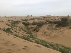-水洞沟旅游区