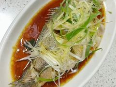 -红蕾家政·保姆·育儿嫂·钟点工