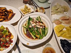 -船歌·鱼水饺青岛菜(金狮广场店)