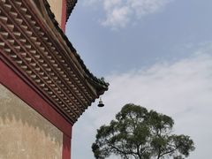 -广州莲花山旅游区
