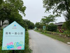 -田园东方蜜桃村的田野营地