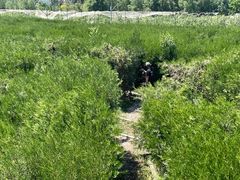 -亲兄弟真人CS团建拓展基地