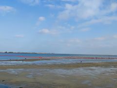 -北海金海湾红树林生态旅游区