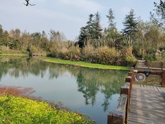 -桤木河湿地公园