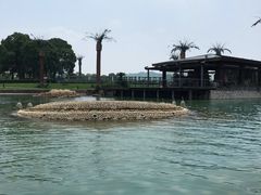 -上海月湖雕塑公园