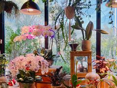 -自由生长植物工作室(深港花卉中心店)