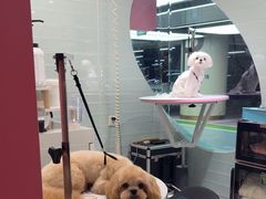 -FAELING PETS美天灵宠物(合生汇店)