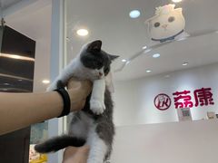 -荔康动物医院(康王北路店)