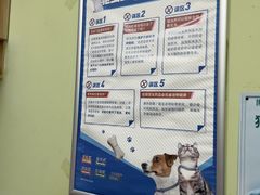 -瑞鹏宠物医院·夜间急症·心超·猫科(祖庙分店)